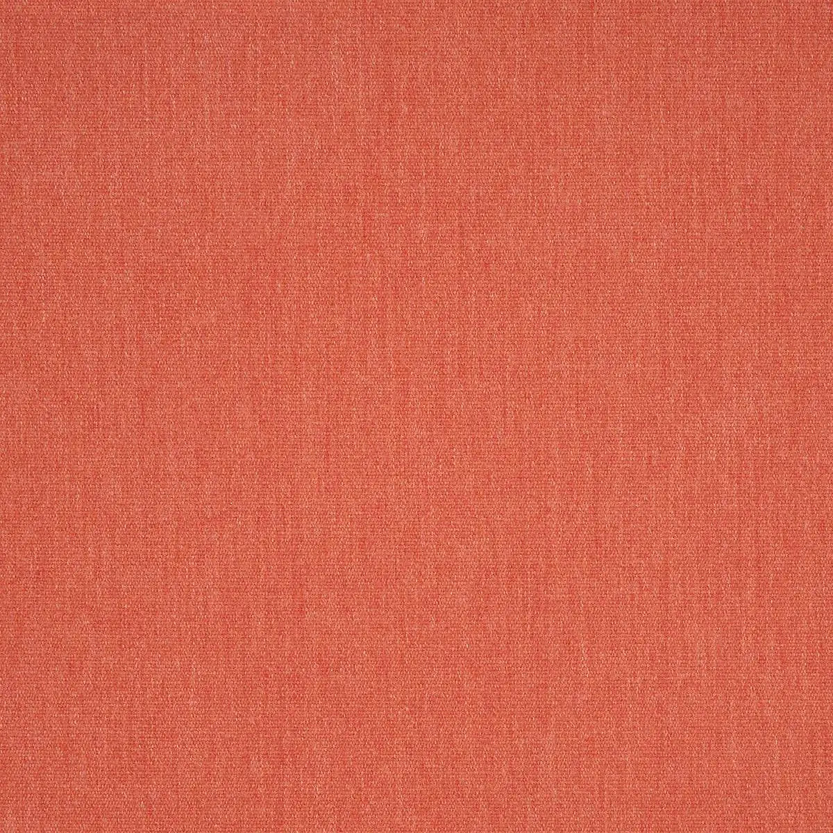 Forever Patio | NorthCape: Sunbrella Canvas Persimmon