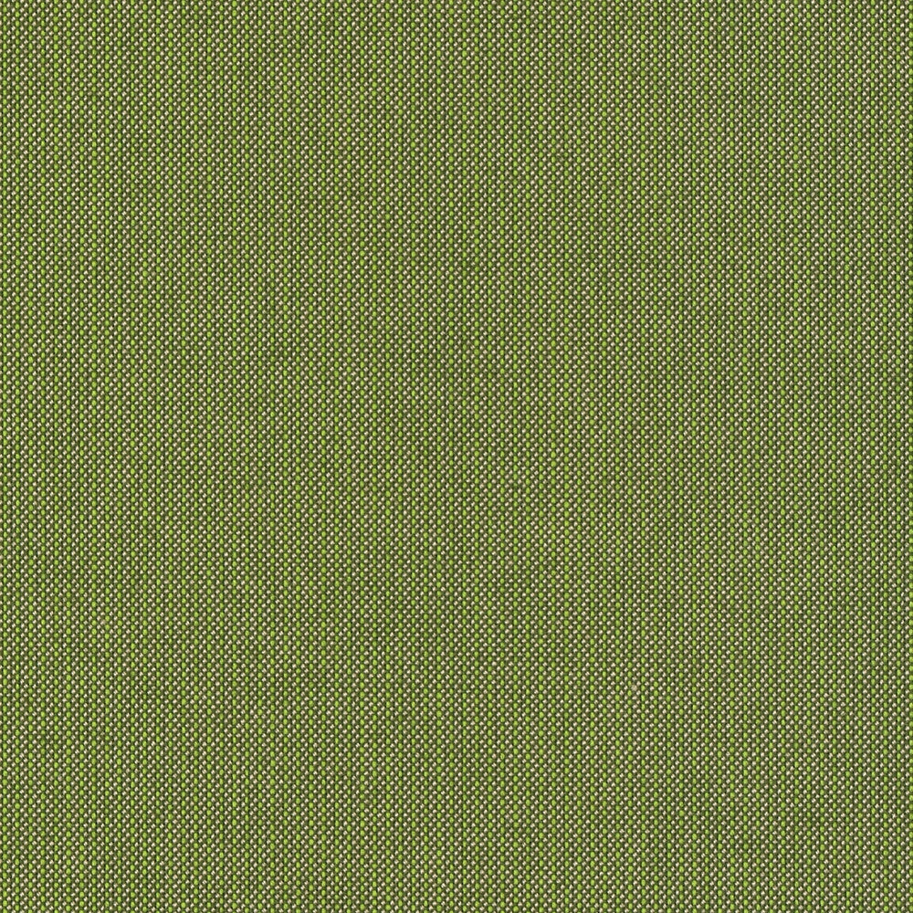 Forever Patio | North Cape: Sunbrella Spectrum Cilantro