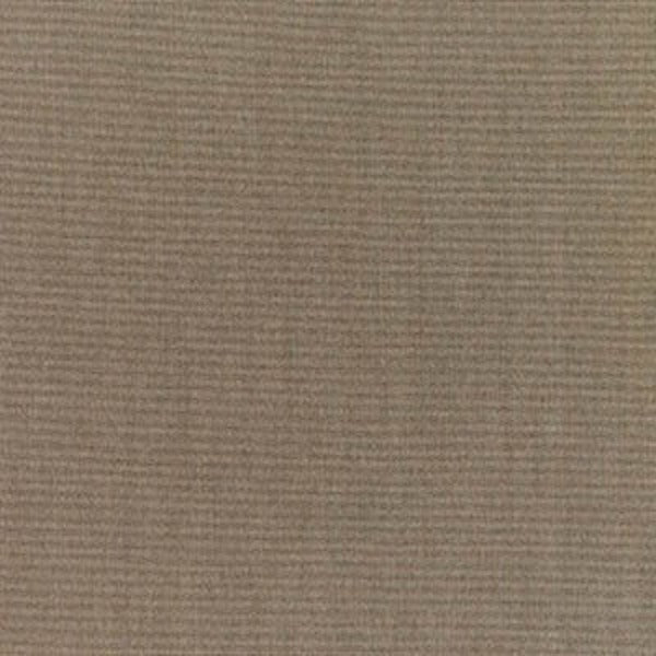 Sunset West : Sunbrella Canvas Taupe