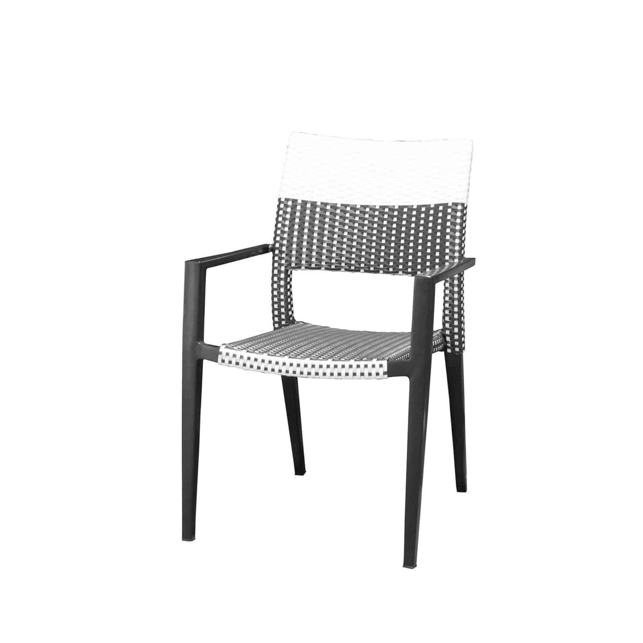 Source Furniture Chloe Wicker Dining Arm Chair