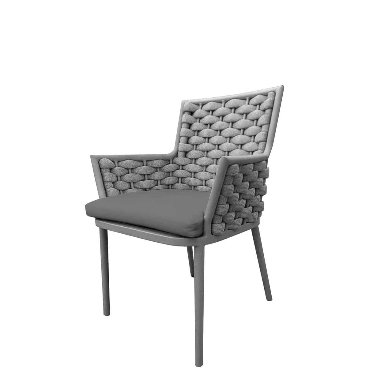 Source Furniture Luxe Dining Arm Chair